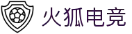 火狐电竞 (有限公司)官方网站